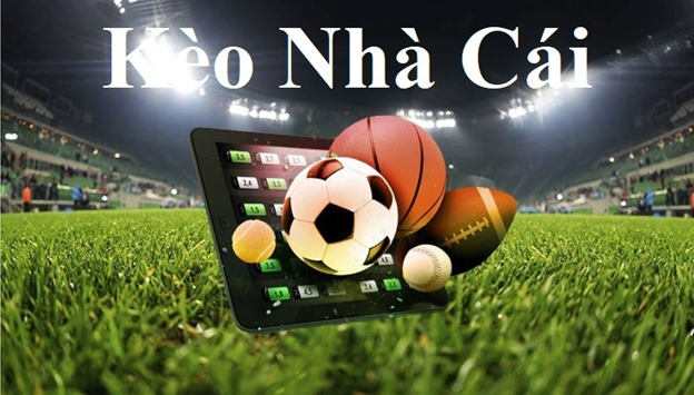 Trang Cá Độ Bóng Đá Online Hàng Đầu Việt Nam 2025